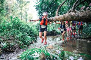 BIB: 
                            <button type="button" onclick="openModal(25453881)" class="btn btn-primary btn-sm float-right btn-popup" data-toggle="modal" data-target=".modal-high-quality">
                        <i class="fas fa-shopping-cart"></i> Add to Cart
                    </button>
                                            <button type="button" onclick="isThisMe(25453881, true)" class="btn btn-success btn-sm float-right btn-popup btn-isme hidden" data-toggle="tooltip" data-placement="bottom" title="นี่คือรูปของคุณใช่ไหม คลิกที่นี่เพื่อเอาเข้าอัลบั้ม">
                        <i class="fas fa-plus"></i> Add to album
                    </button>
                    <button type="button" onclick="isThisMe(25453881, false)" class="btn btn-warning btn-sm float-right btn-popup btn-isnotme hidden">
                        <i class="fas fa-ban"></i> Remove from album
                    </button>